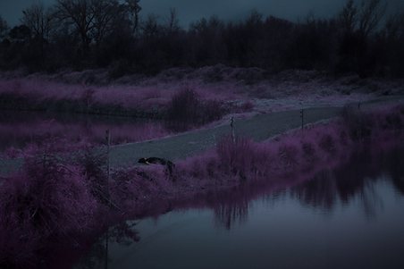 Debilitating Changes