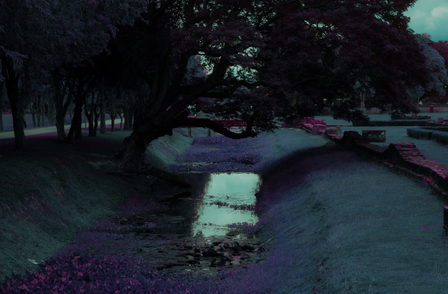 tree overhanging.png