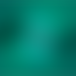 From Startup to Industry Shaper: The Pandoblox Journey