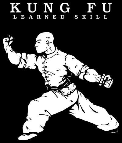 FLIER KUNG FU.gif