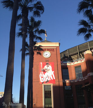 An evening at the ball park