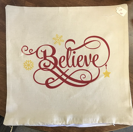 Throw Pillow Case