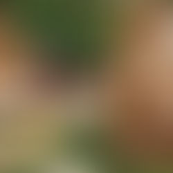 Ag Community's Heartfelt Discussions Around 'Land Rich, Cash Poor'