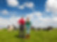 Typical Dutch landscape with farmers and black and white cows in the meadows_edited.jpg