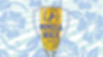 Dallas Mimosa Walk: Hawaiian Party