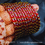 Thumbnail: Bulbul Maroon Bangles