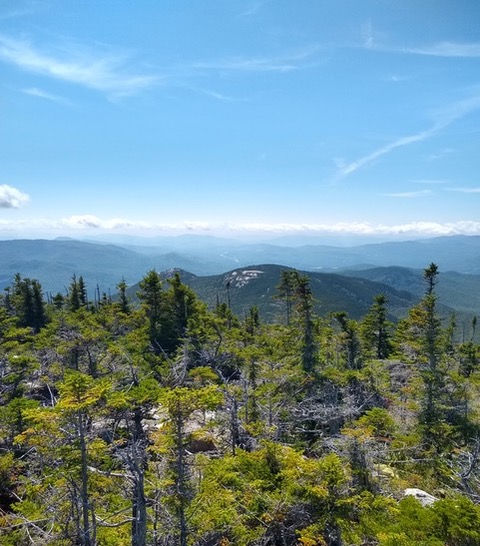 Group Hike: Skyline Loop (Greeley & Mt. Osceola)