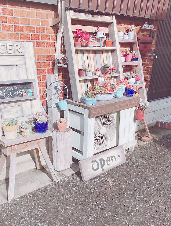 0B5387CF-0C65-4B37-A70E-6D174BECC63B.jpe