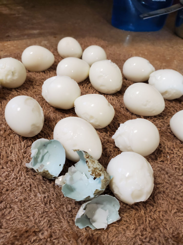 Pickled quail eggs