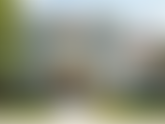 Best Affordable Residential House Painting Services in Your Area