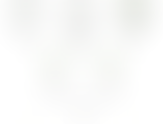 The Top Benjamin Moore Whites for Kitchen Cabinets: Why Chantilly Lace Leads the Pack