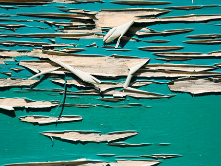 Why Does Exterior Paint Peel?