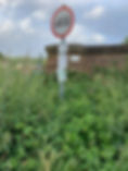 IMG_3804.jpeg