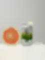 LE SELTZER- Fleur du yuzu et pomelo/Yuzu blossom and pomelo