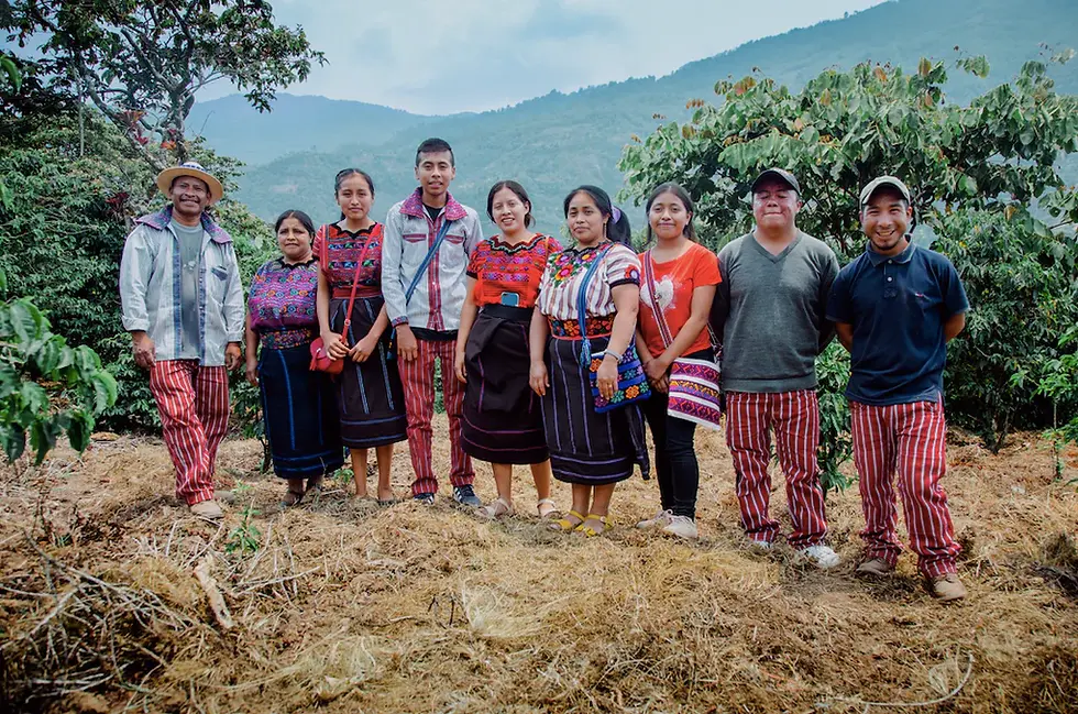 Thumbnail: Guatemala | Manos De Mujer | Single Origin