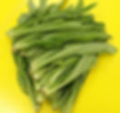 Chemical free tien qi leaf