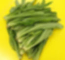 Chemical free tien qi leaf