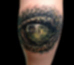 Croc Eye