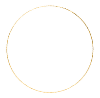 Tamiris José gold foil circle ignite your potential