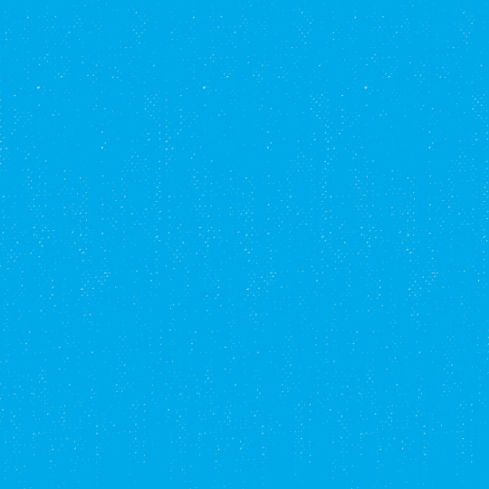 WinnersGIF.gif