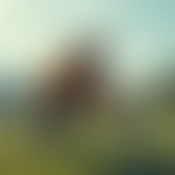 Holistic Wellness Strategies for High School Athletes