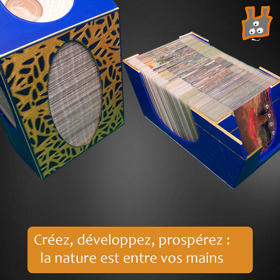 Miniature : Insert compatible cartes sleevées pour Earth