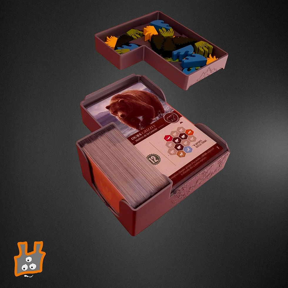 Miniature : L’insert pour Cascadia et son extension