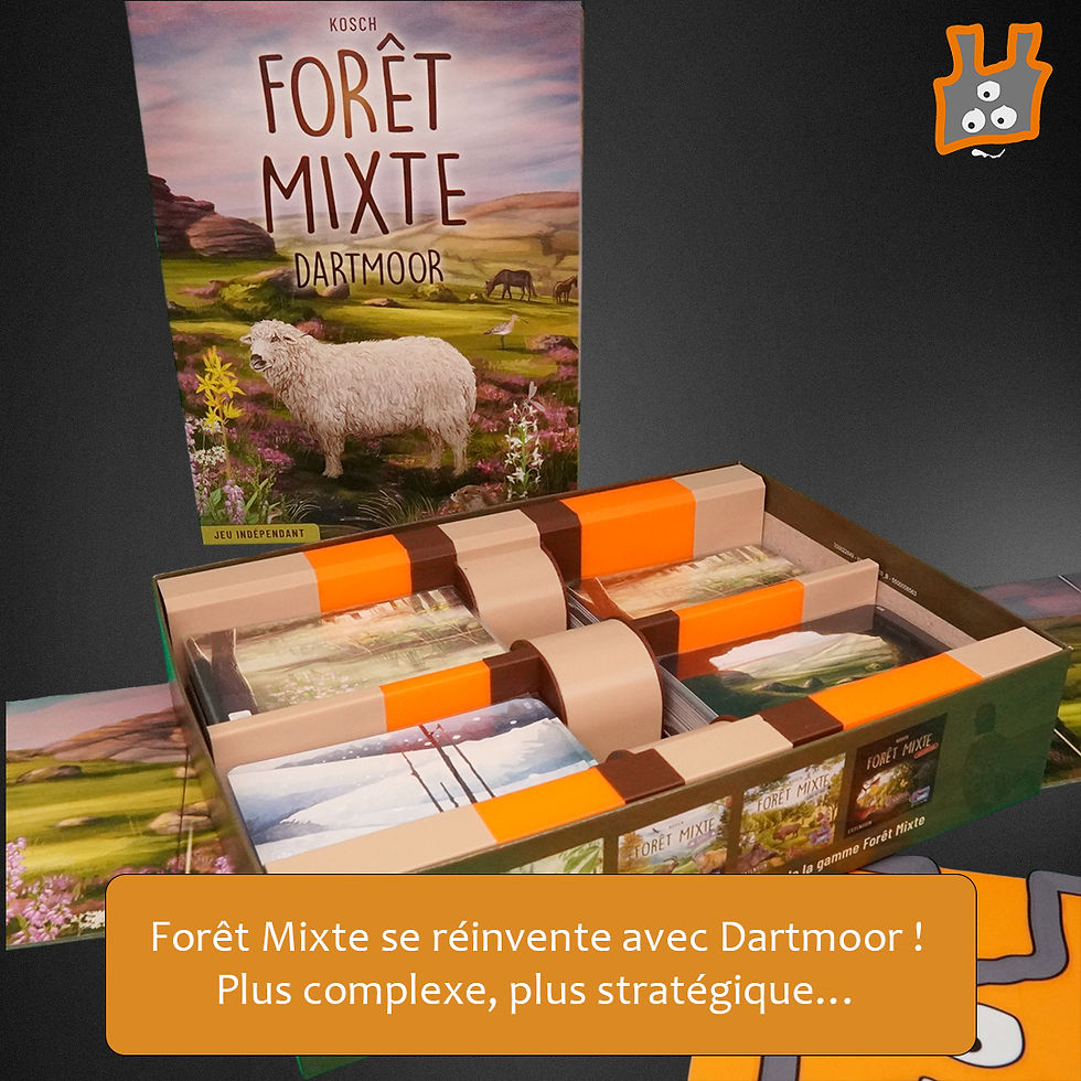 Insert Ludipack vide pour Dartmoor Forêt Mixte