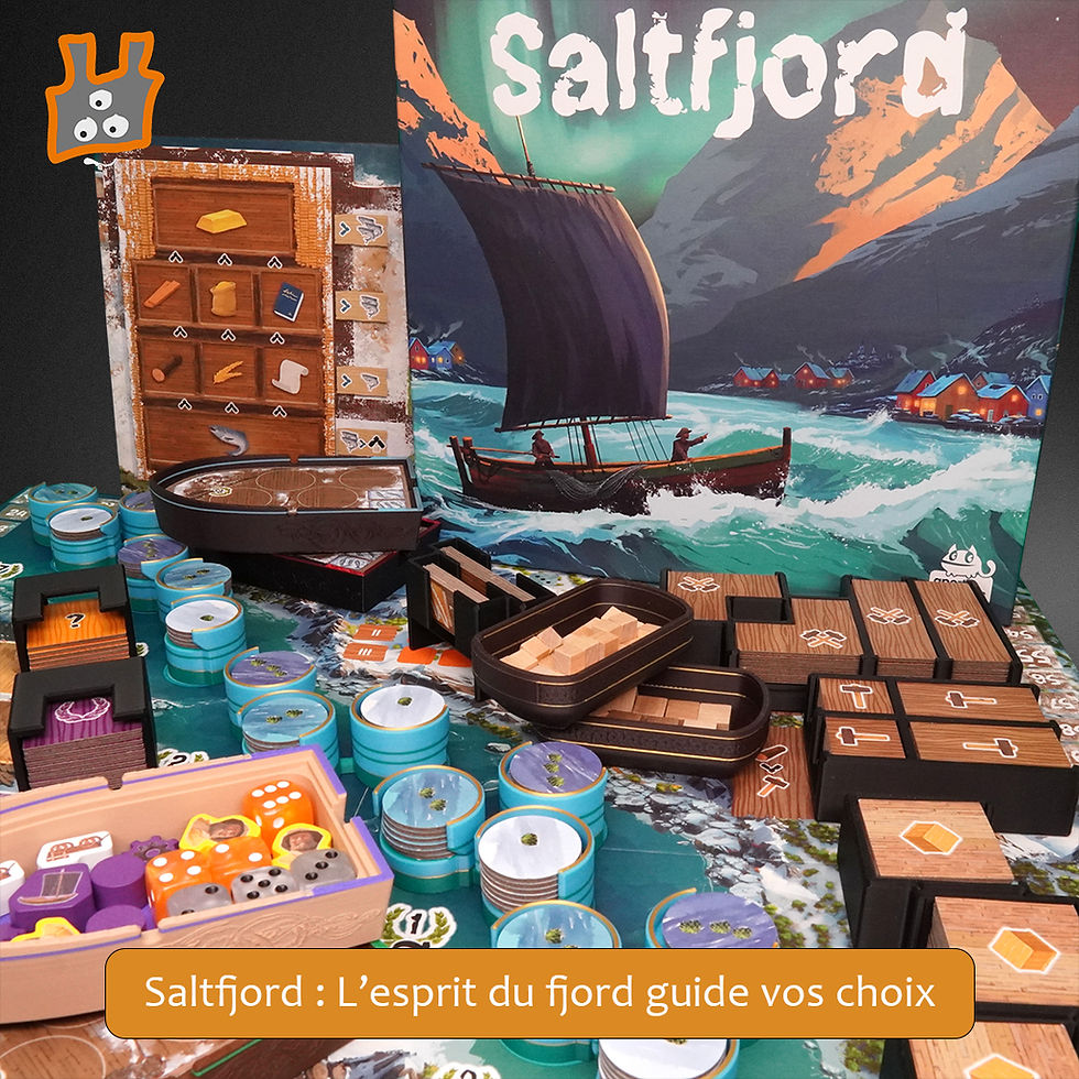 Vue d'ensemble de l’insert Saltfjord