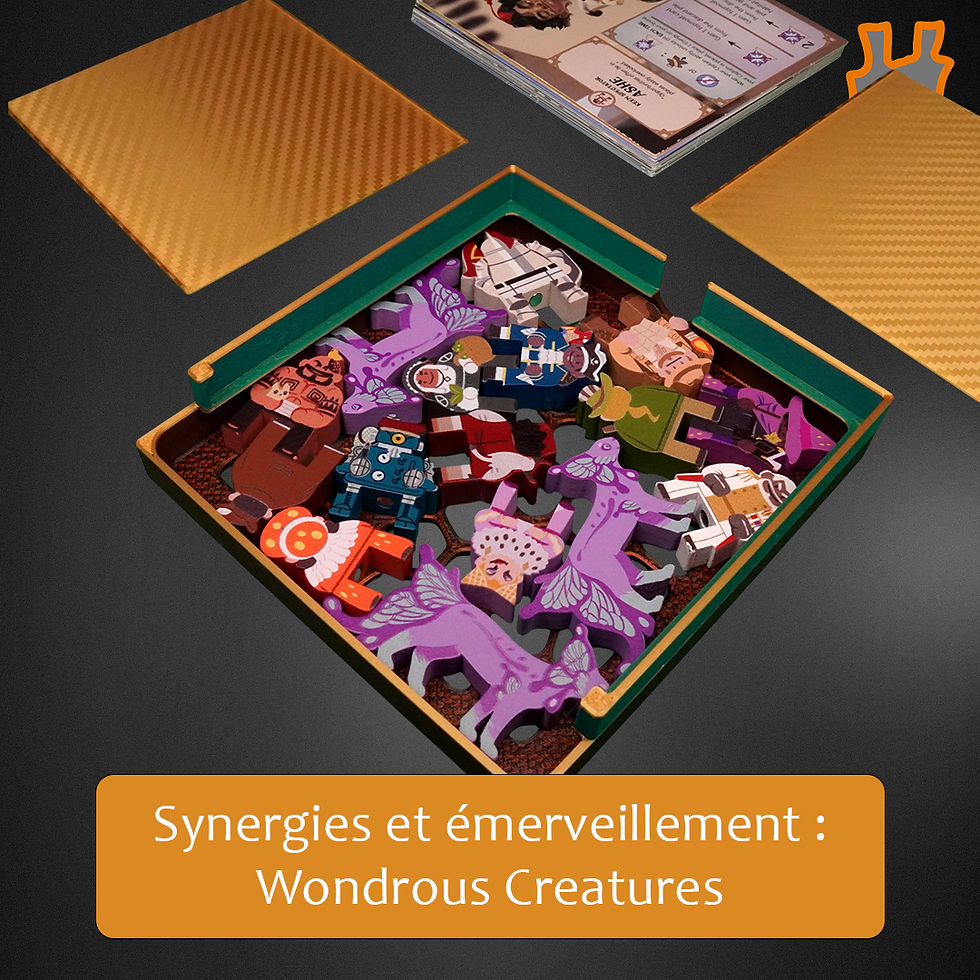 Miniature : Compartiments de l’insert Wondrous Creatures