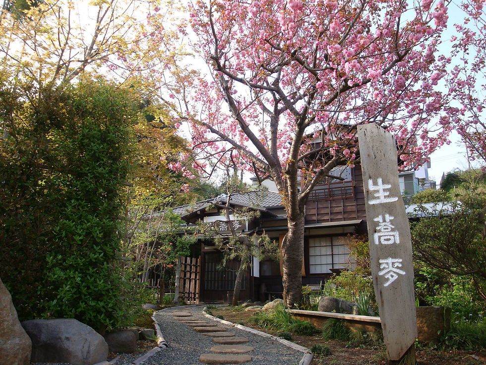 Kurihara Soba Hadano くりはら 秦野
