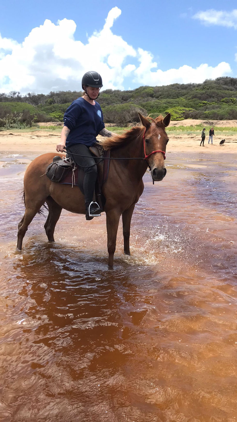 Thumbnail: Feel the freedom - 2 Hr Bass Coast Trail Ride