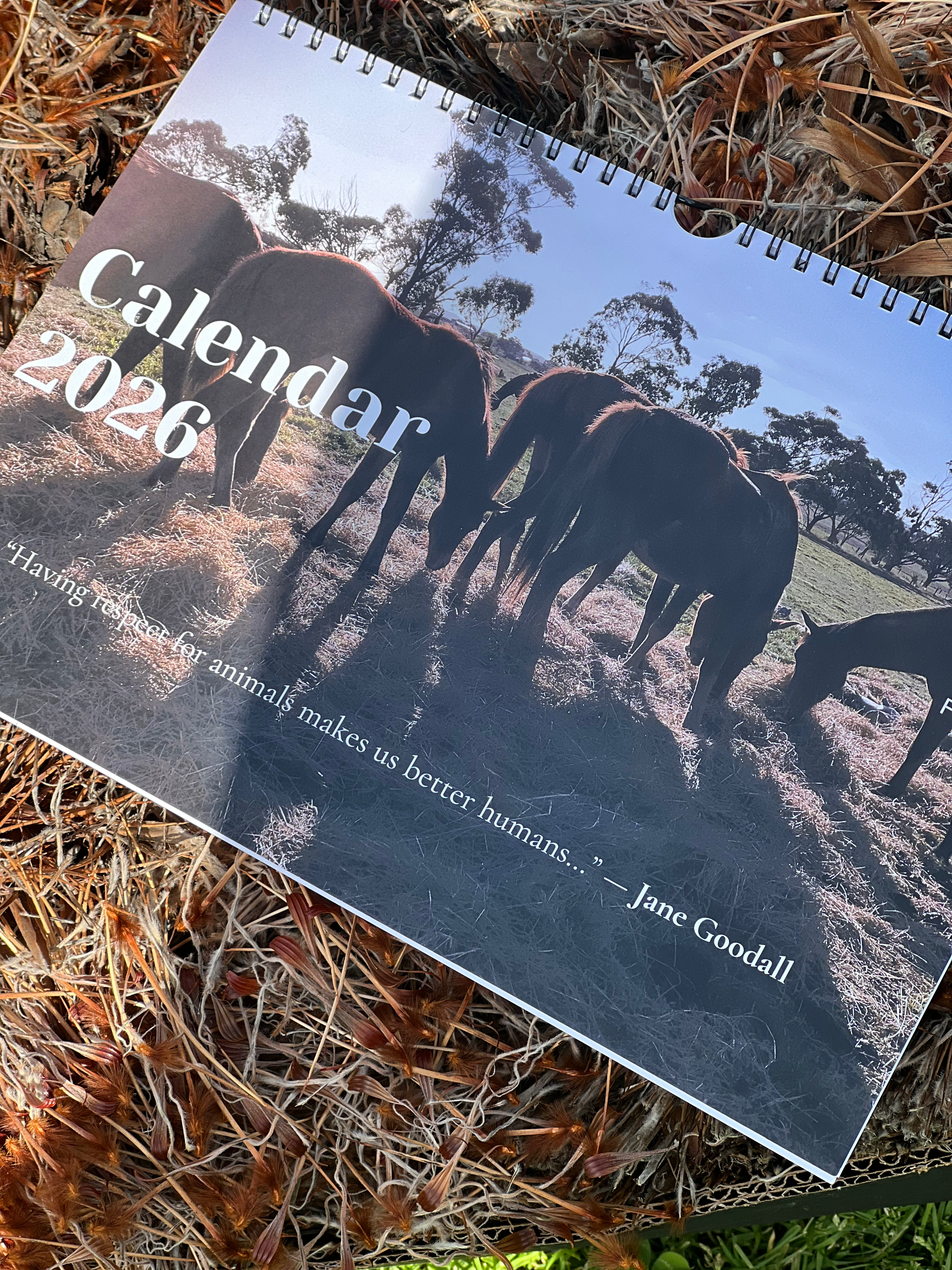 Wattle Bank Farm Horse Wall Calendar 2026
