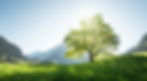 iStock-1003629220