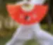 kungfu tai chi waaier.webp