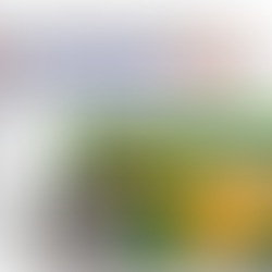 Solar PV Design Services: What You Need to Know