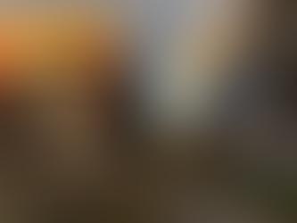 Atkritumu dedzinātava Francijā