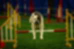 75785AFA-7C6D-4A75-A509-85C18A7C8851.jpeg