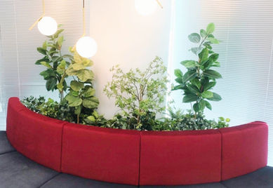 ゴムの木・ドウダンツツジ・ウンベラータ　フェイクグリーン　人工植栽