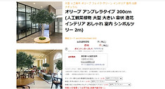 楽天市場 店舗 ビワールデコ