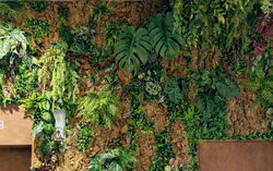 緑だけじゃない壁面装飾UP画像