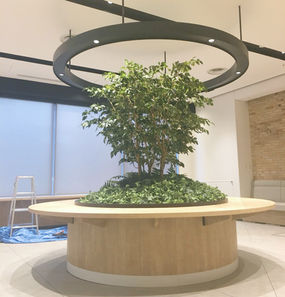 円形テーブル　ドーナツテーブル　オフィス　サイズ　会議　植栽　おしゃれ　店舗　鉢植え　インテリア　低木　大型　東京　大阪　植物　人工　フェイクグリーン　虫がつかない　業者　メーカー　卓上　ベンジャミン