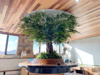 株式会社ベストグリーン | ドーナツテーブル 円形テーブル 卓上