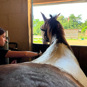 Galerie photo