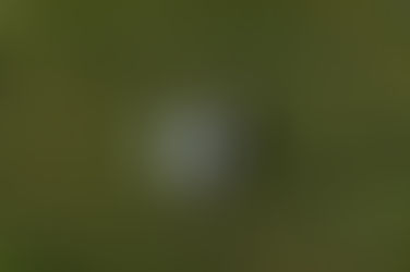 A Simple Nutrition Plan for a Different Kind of Physical Athlete