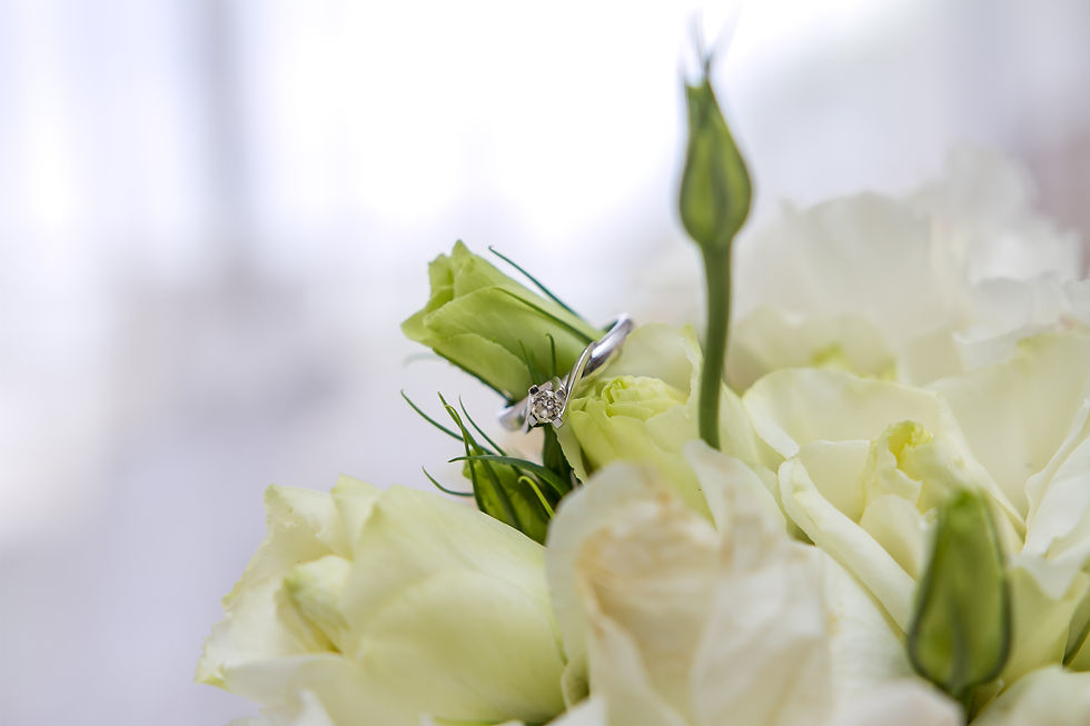 Fotografo Profesional Acapulco (12)