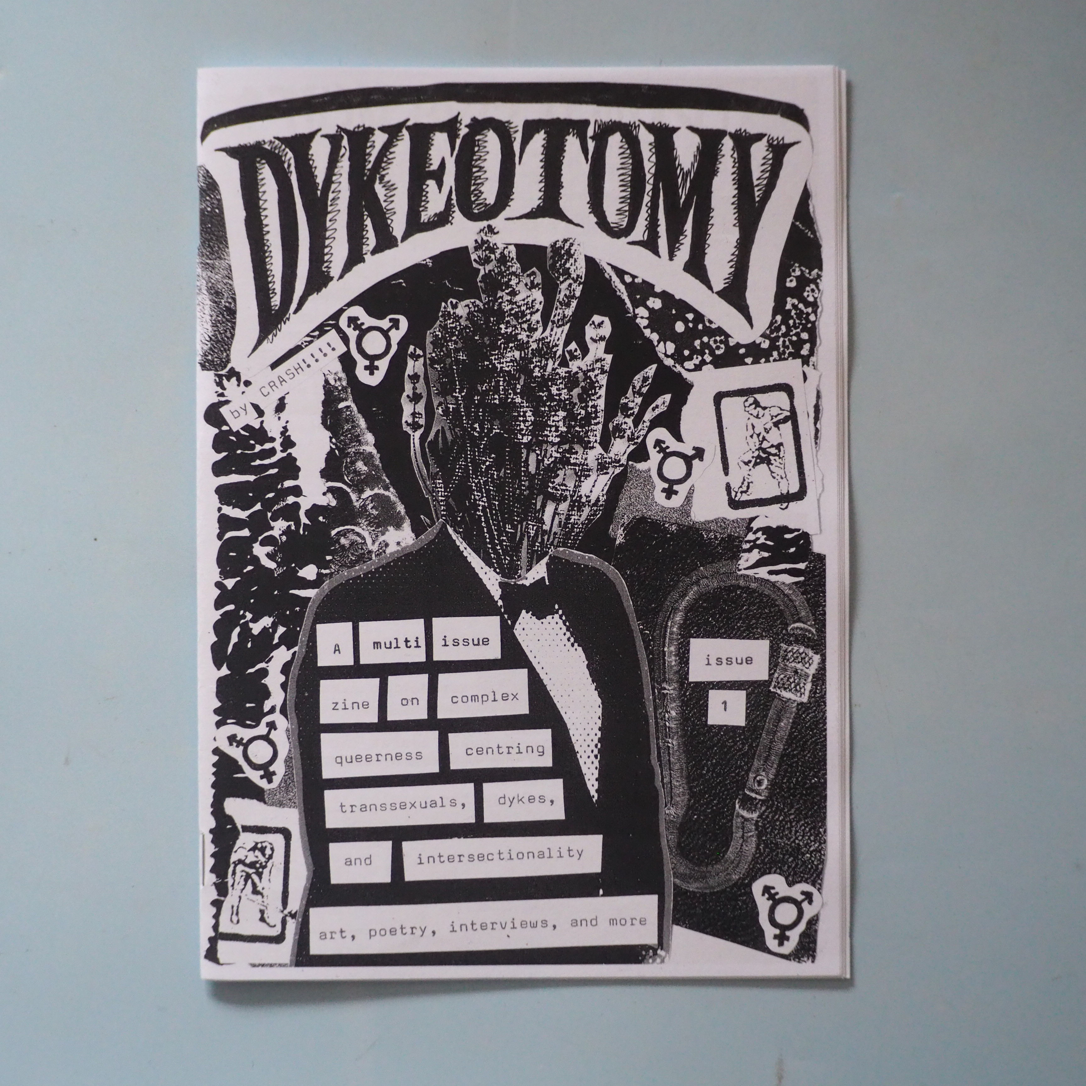 DYKEOTOMY #1 by crash