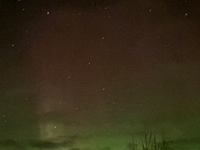 Hva gjør man egentlig på et småbruk i november?