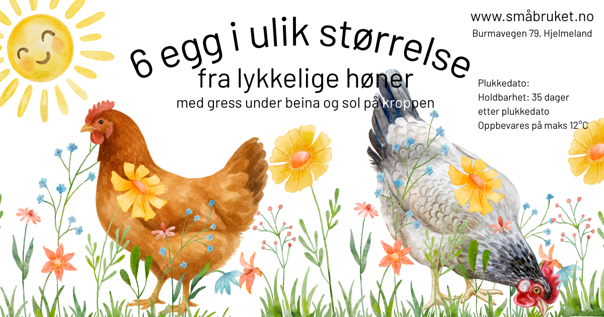 6 egg i ulik størrelse