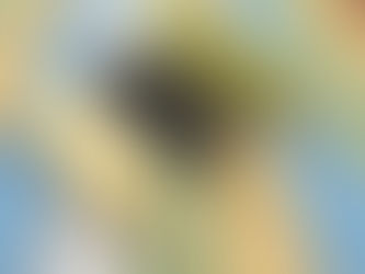 Primeiro picolé de tilápia do Brasil ganha novos sabores tropicais e será destaque na APAS Show 2025